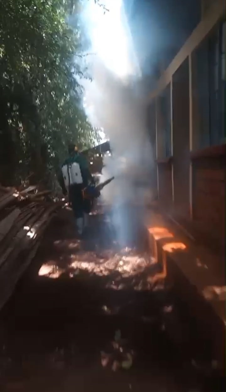 Outdoor Fumigation